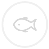 Seafood and Oyster Spot logo